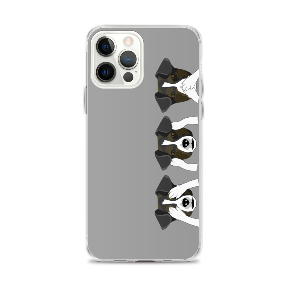 iphone-case-iphone-12-pro-max-5fdccd2359d18.jpg